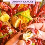 crawfish boil with hands showing how to twist off the head of a bright red crawfish.