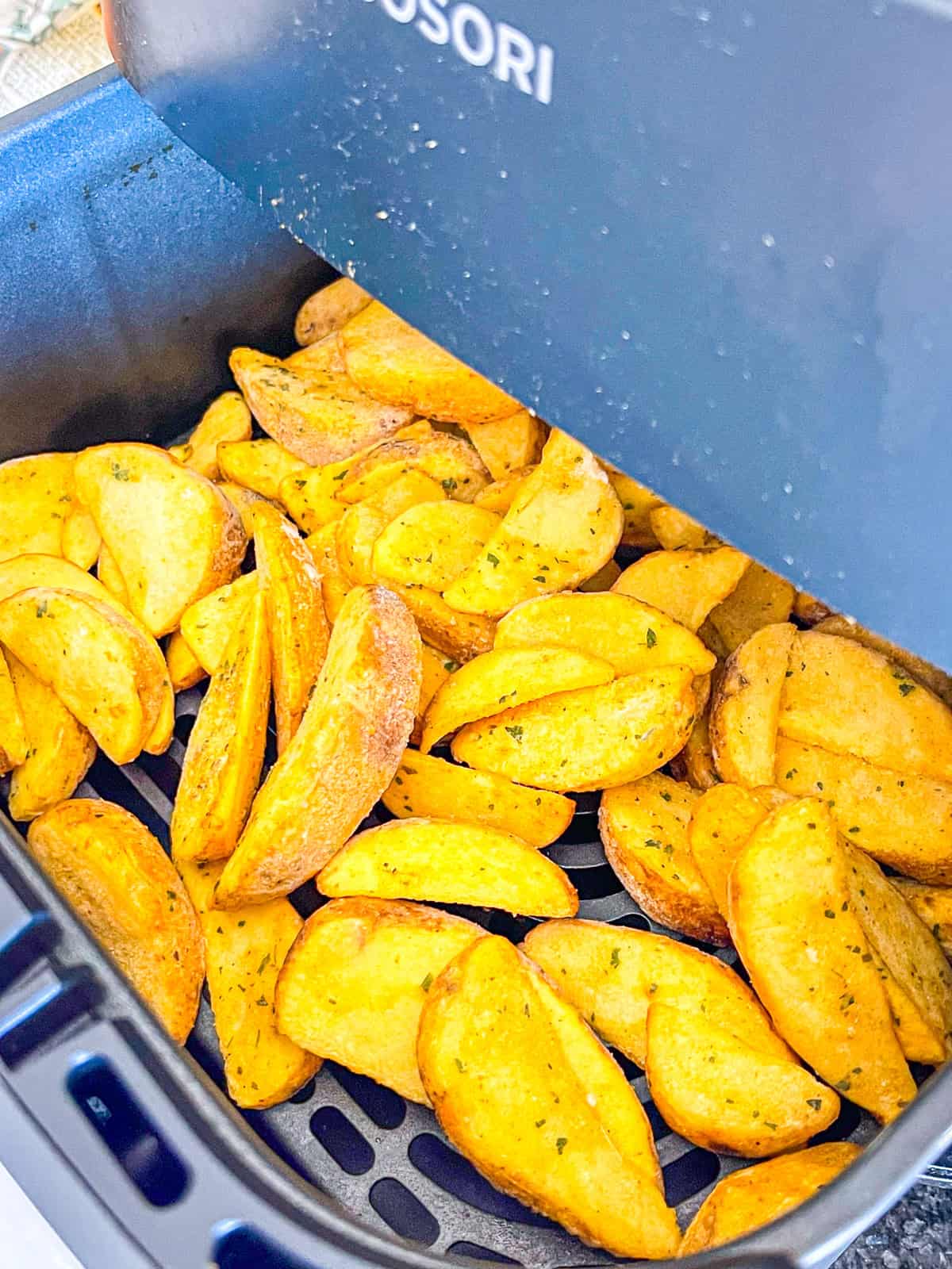 Fries in an air fryer basket.