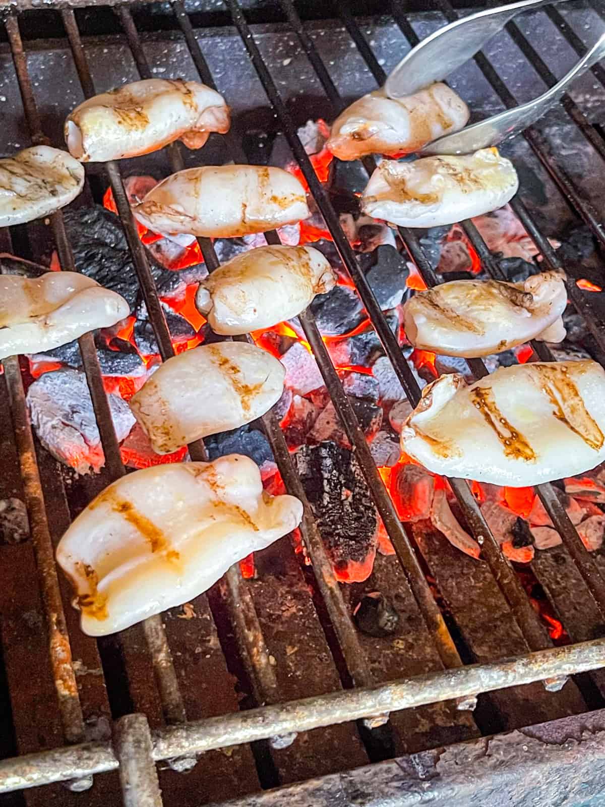 Calamari grilled over open fire.