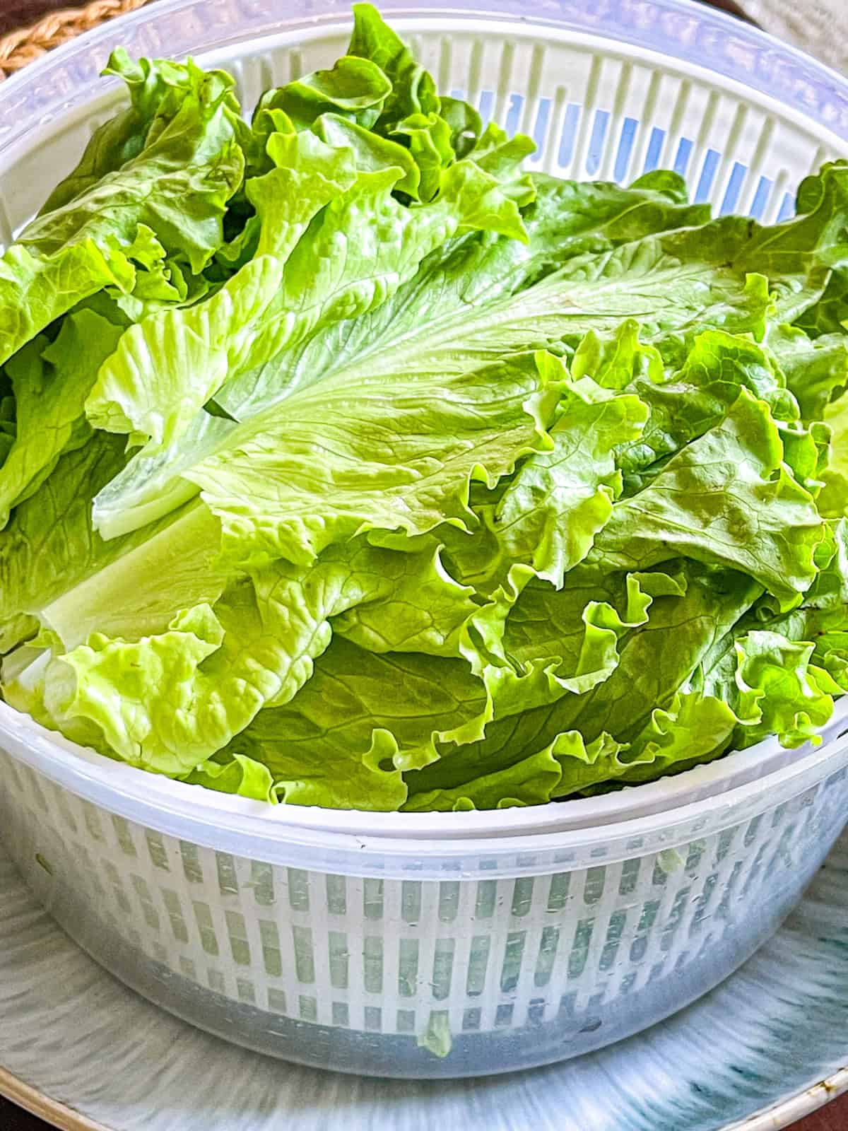 lettuce in a bowl.