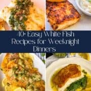 WHite fish poster for 40_ recipes.