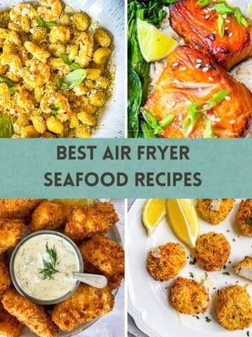 Air Fryer Recipes in columns
