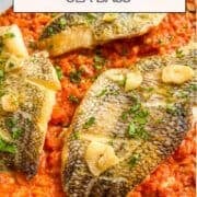 Black Sea bas on a bed of romesco sauce.