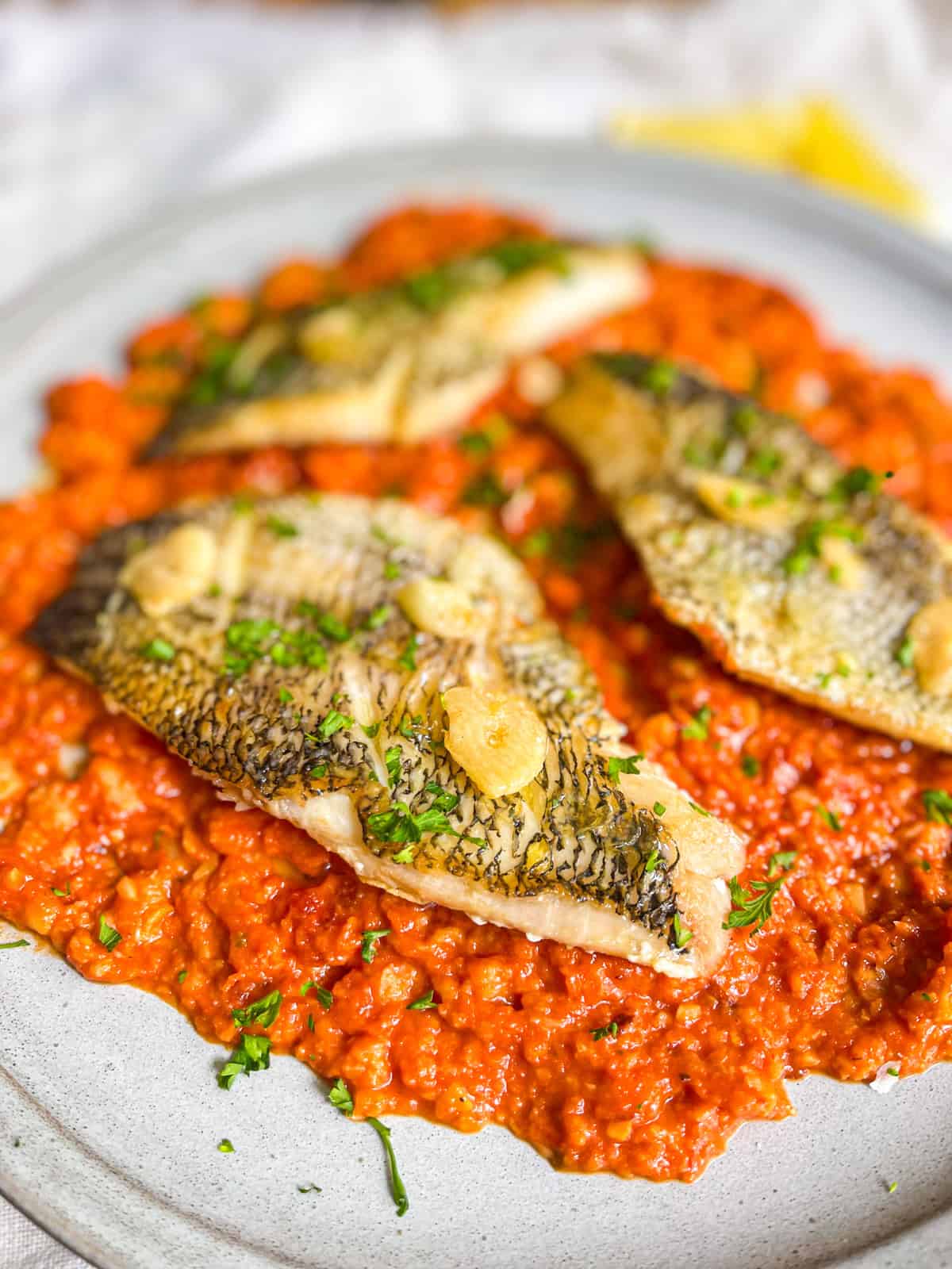 Crispy Black Bass on Romeco Sauce
