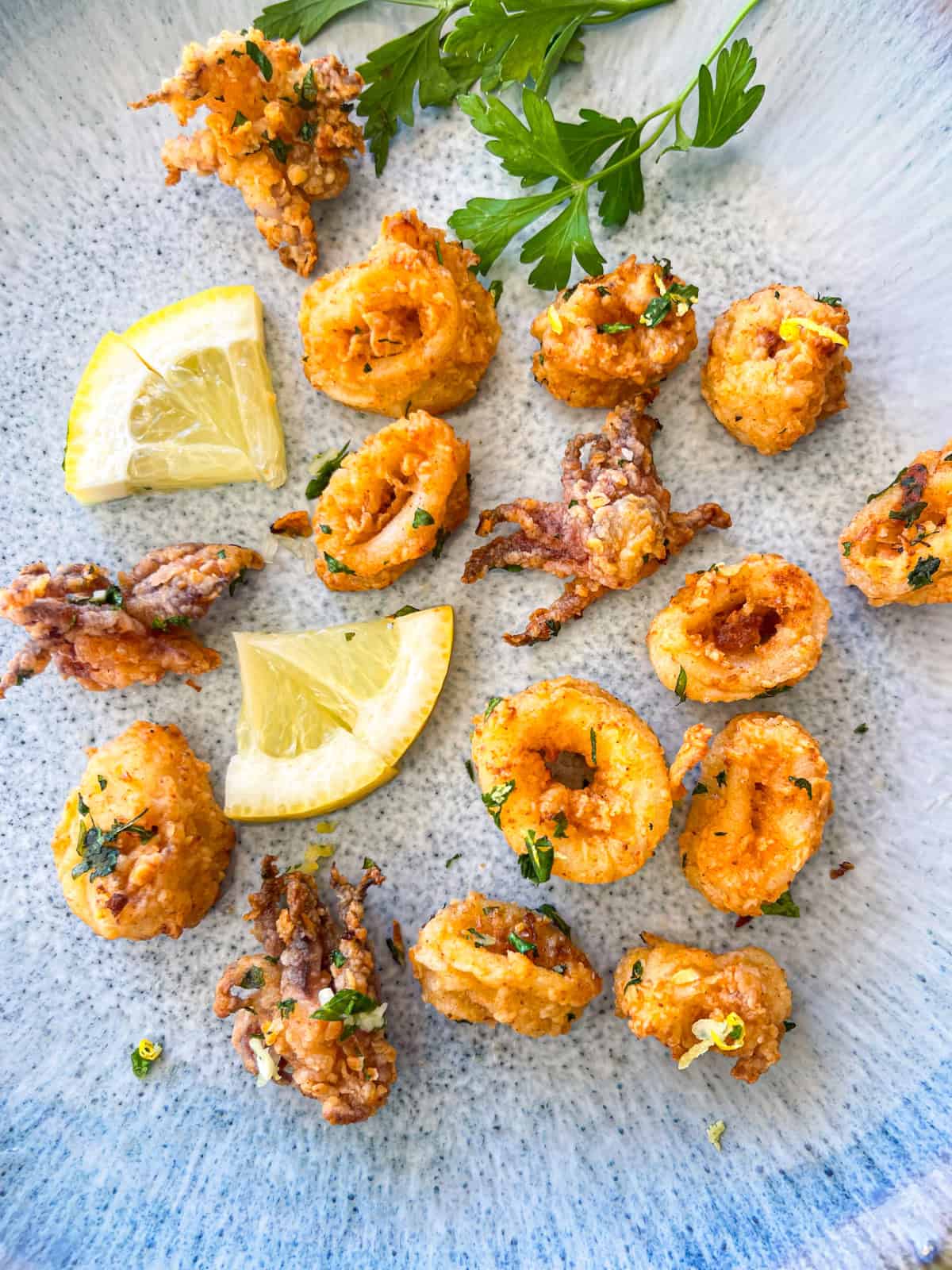 calamari seperated in a plate.